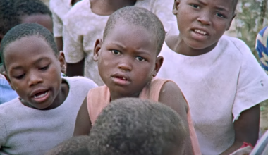 Plantar nas Estrelas